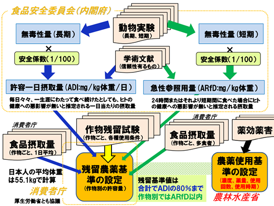 チャート